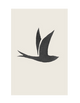 SWALLOW