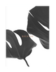 MONSTERA BREATHE