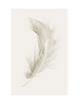 BEIGE FEATHER
