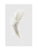 FEATHER - CLOUD GREY