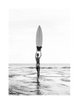 SURF