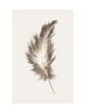 BEIGE FEATHER PART 3