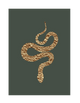 GOLD SNAKE PART 2