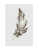 FEATHER - CLOUD GREY PART 2