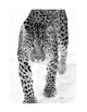 BLACK AND WHITE LEOPARD