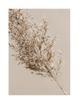 PAMPAS PART 2