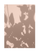 PINK SHADOWS PART 2
