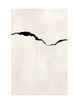 Torn