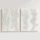 VIXON CANVAS SET