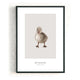 duckling