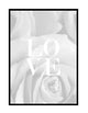 LOVE ROSES