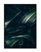 Plant Life