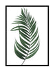 Pinnate