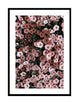 FLOWER BOMB