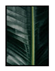 BANANA LEAF ZOOM