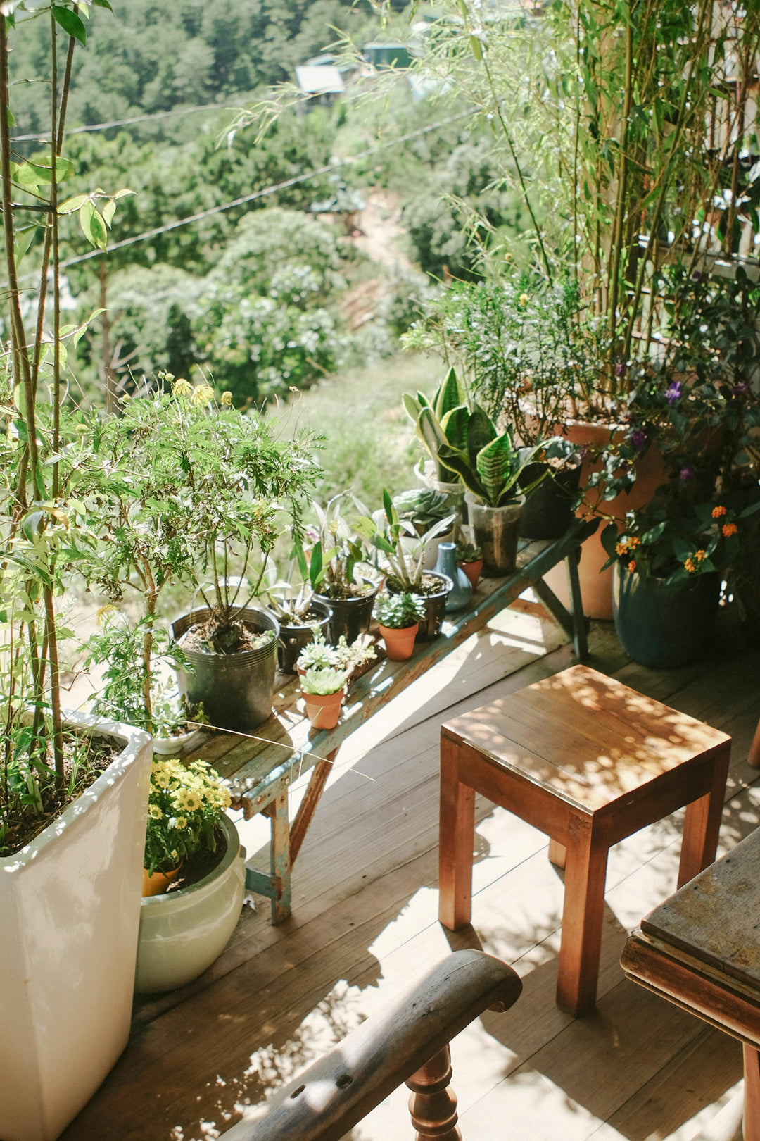 10 Small Garden Design Ideas on a Budget