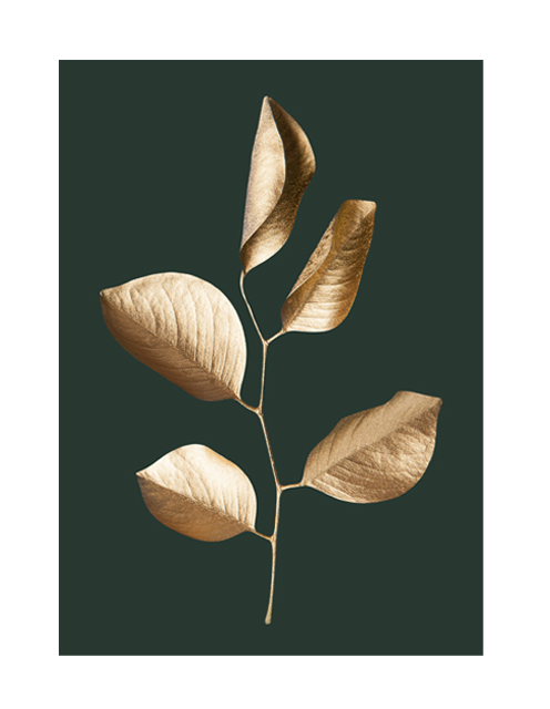 Create Your Sanctuary with Nature-Inspired Art