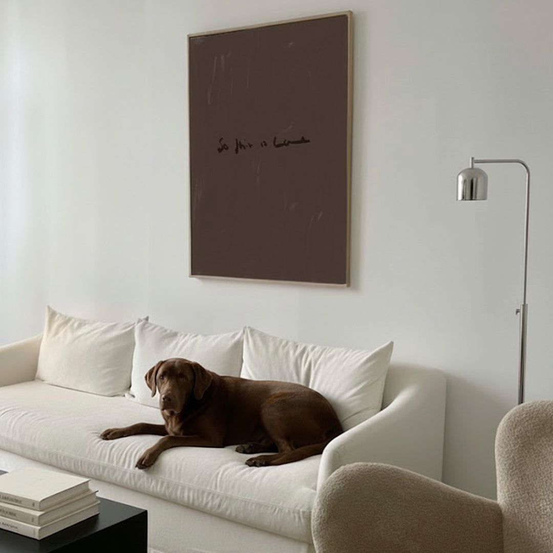 Dog lying on a white sofa in a modern living room with a minimalistic decor.
