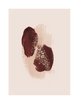 RASPBERRY RUST PART 2