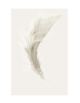 BEIGE FEATHER PART 2