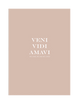 VENI VIDI AMAVI