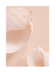 SEASHELLS