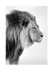 KING