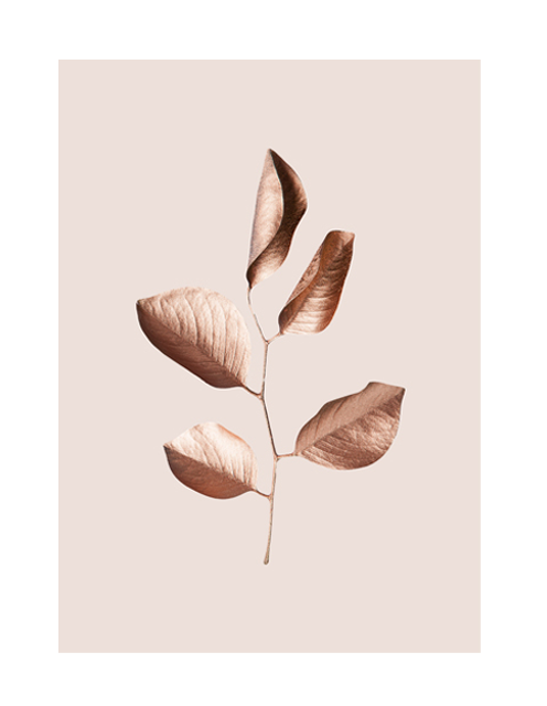 GILDED LEAVES - ROSE GOLD BABY PINK