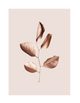 GILDED LEAVES - ROSE GOLD BABY PINK