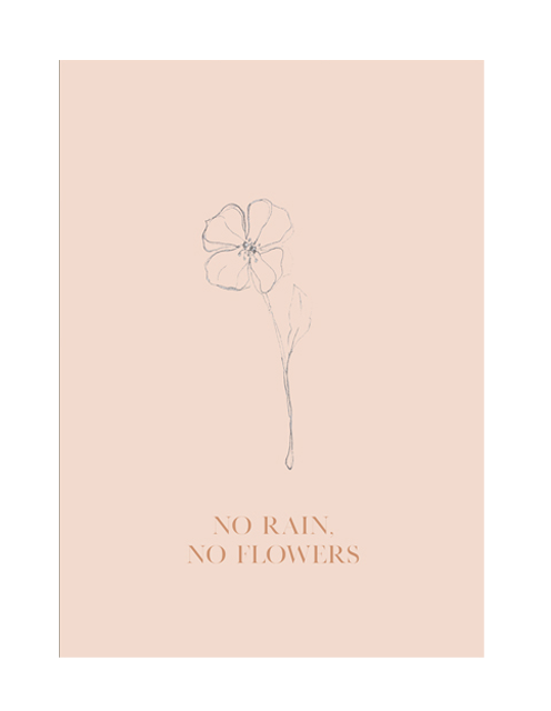 NO RAIN NO FLOWERS