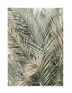 PALMA