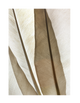 SILK FEATHERS