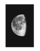 ECLIPSE 3