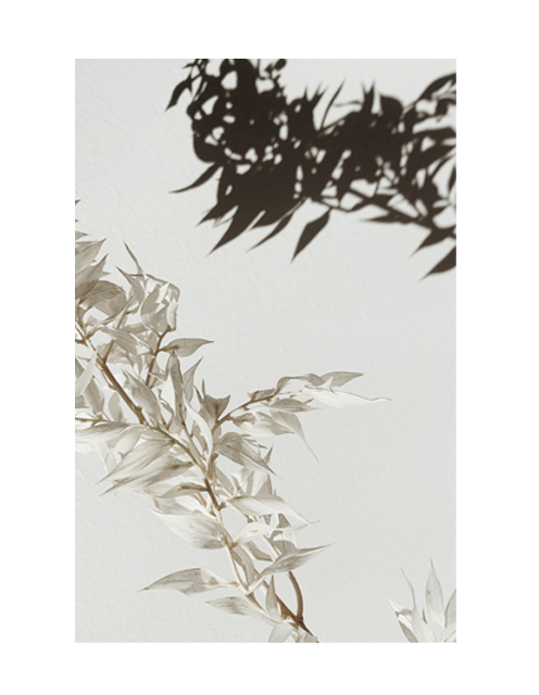 SPRING SHADOW PART 2