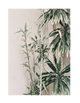 CORNER PLANT