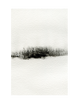 SNOW DANCE