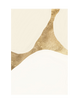 GOLDEN VALLEY