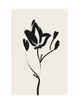 FLEUR