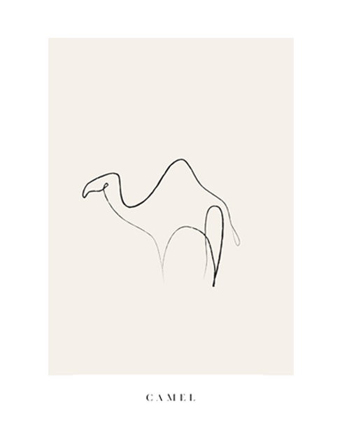Camel
