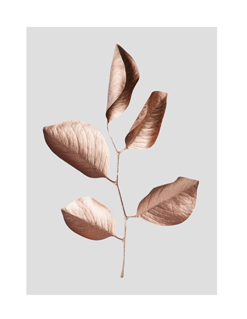 GILDED LEAVES ROSE GOLD / GREY