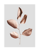 GILDED LEAVES ROSE GOLD / GREY