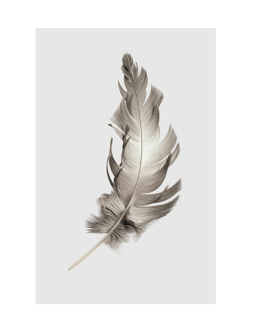 FEATHER - CLOUD GREY PART 2
