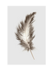 FEATHER - CLOUD GREY PART 3
