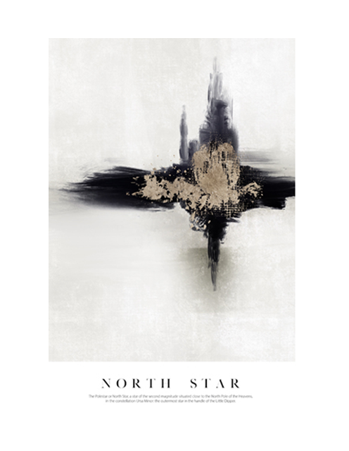 NORTH STAR