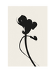FLEUR PART 2
