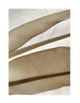 SILK FEATHERS PART 2
