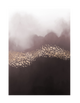 STARDUST