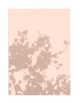 PINK SHADOWS