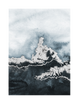 BLUE FROST