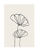 OUTLINES - FLORAL